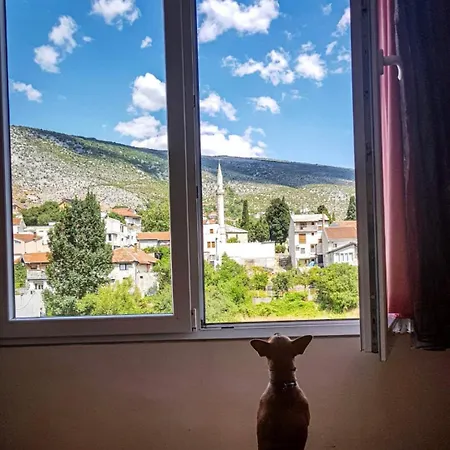 View דירה